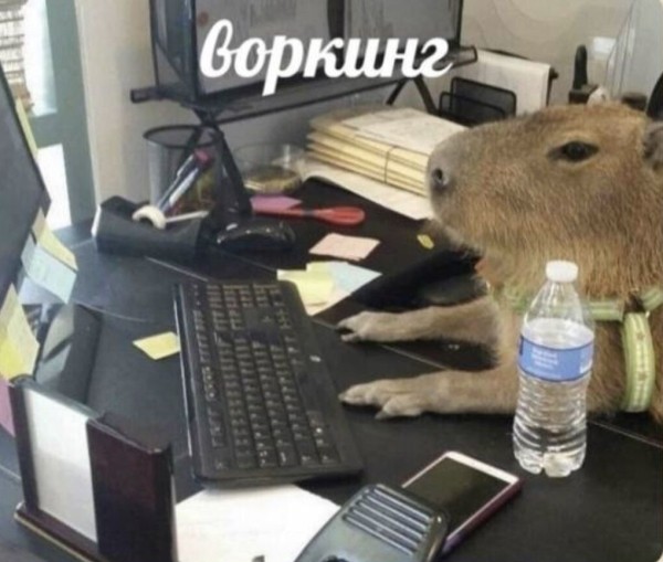 Почему чаще всего выгорают креативщики?
Почему чаще всего выгорают креативщики?