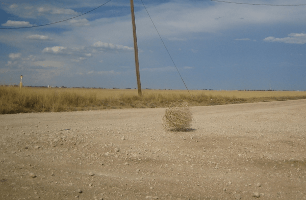 
                    Как найти клиентов из США на услугу диджитал-агентства?            