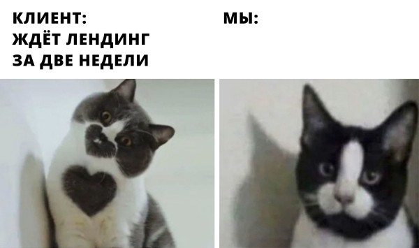 «Соня, где лендинг?» Недопоняли клиента и сорвали сроки. Какие две ошибки мы допустили и какие уроки вынесли
«Соня, где лендинг?» Недопоняли клиента и сорвали сроки. Какие две ошибки мы допустили и какие уроки вынесли