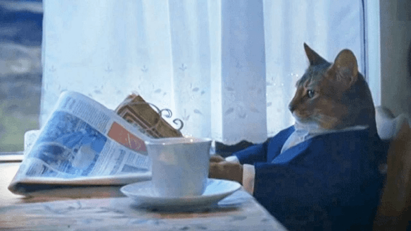 Взаимное притяжение: как за 6 шагов выстроить успешную коммуникацию с клиентом             
                    Взаимное притяжение: как за 6 шагов выстроить успешную коммуникацию с клиентом