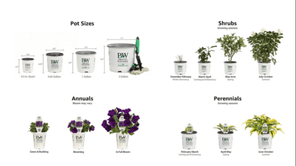 Cтратегия Amazon: 5 disrupt-отраслей для Amazon и 7 рынков для будущего развития
Cтратегия Amazon: 5 disrupt-отраслей для Amazon и 7 рынков для будущего развития