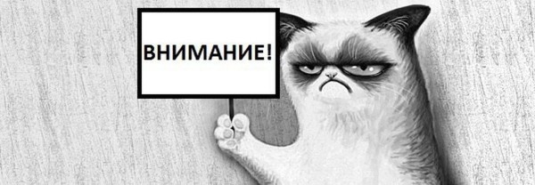 
                    Как я потратил 20 минут вместо часа и написал крутой пост для Telegram с помощью ChatGPT: подробный гайд            