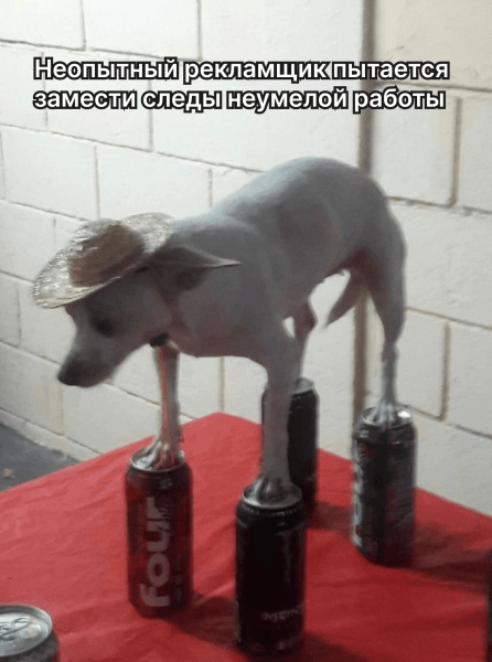 «Можете уже прислать отчёт, а не кидаться скринами?»: почему важна прозрачность — кейс типографии в Яндекс Директе
«Можете уже прислать отчёт, а не кидаться скринами?»: почему важна прозрачность — кейс типографии в Яндекс Директе