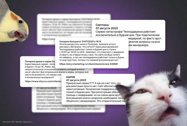 
                    Зачем вы покупаете отзывы? История Vitamin.tools            