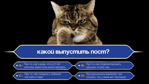 
                    Как развивать блог в соцсетях, чтобы он приносил заявки и продажи: большой гайд            