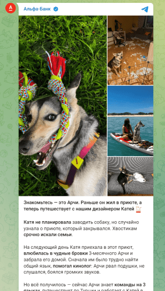 
                    Использование животных в рекламе — этично?            