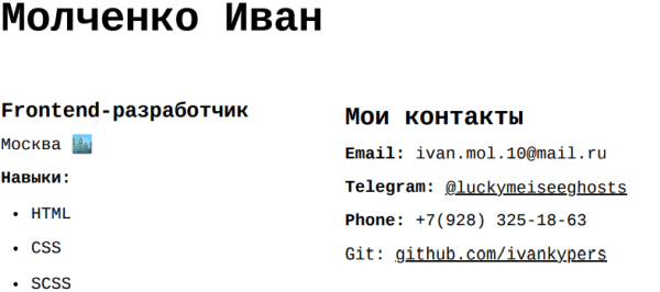 
                    Программистские блоги - зачем?            