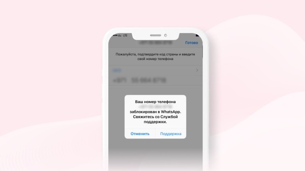 
                    Что делать, если заблокировали аккаунт WhatsApp Business: инструкция и 13 советов, как избежать блока            