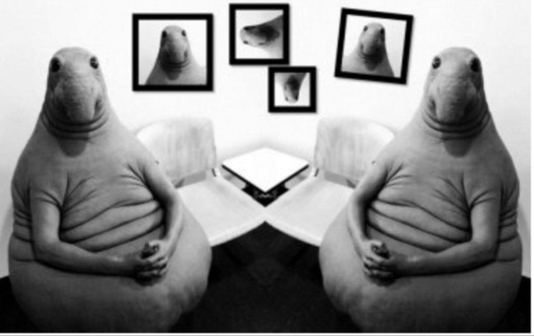 
                    14 МИЛЛИОНОВ РУБЛЕЙ ЗА 1,5 МЕСЯЦА для Института психологии            