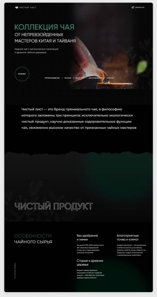 
                    Собрали на Тильде атмосферный магазин элитного китайского чая, и за полгода он принес заказчику 9 млн выручки            