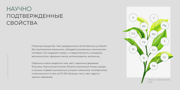
                    Собрали на Тильде атмосферный магазин элитного китайского чая, и за полгода он принес заказчику 9 млн выручки            
