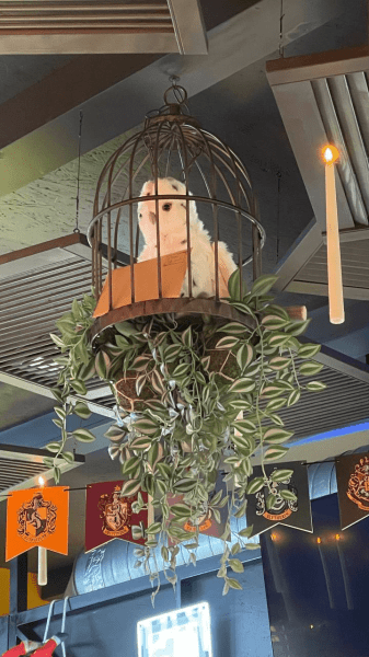 
                    ⚡️Нельзя пропустить: как мужики бургеров через соц.сети на несколько миллионов продали            