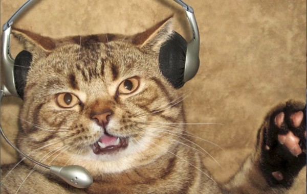 
                    26 новых клиентов на заказ услуг контакт-центра   за 2 месяца, благодаря новому сайту и контекстной рекламе            