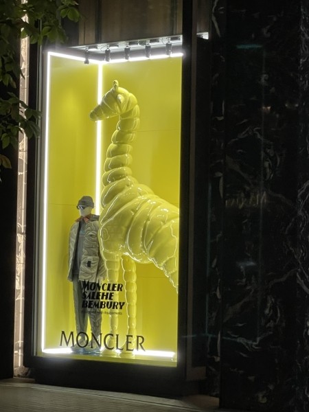 
                    Особенности японской рекламы            