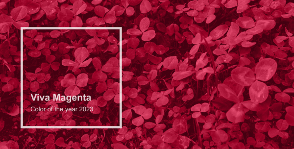 Изучают детскую анимацию, картины и тренды в TikTok: как институт Pantone выбирает «цвет года» и зачем
Статьи редакции
Изучают детскую анимацию, картины и тренды в TikTok: как институт Pantone выбирает «цвет года» и зачем
Статьи редакции