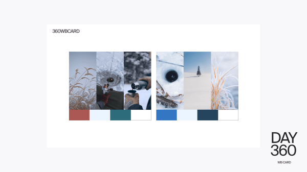 
                    Кейс от 360wbdone. Я вовлекла заказчика в процесс выбора дизайна, и ему понравилось            