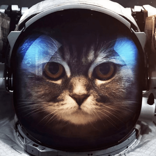 
                    SEO чаты в Телеграмме: топ 7 сообществ для SEO-специалистов            