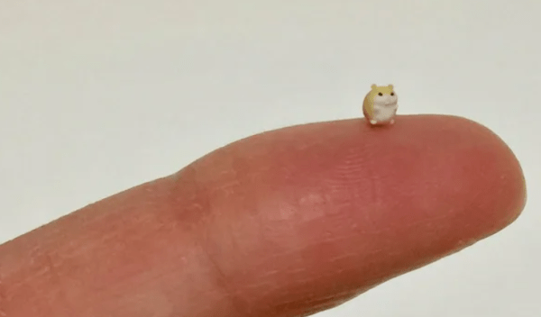 3 элемента, превращающие холодного лида в человека, который купит у тебя здесь и сейчас
3 элемента, превращающие холодного лида в человека, который купит у тебя здесь и сейчас