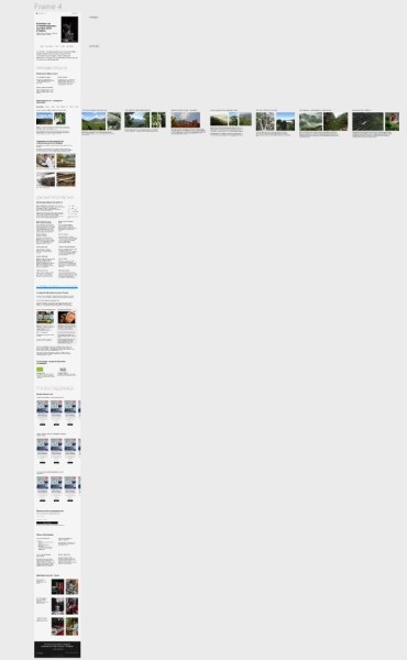 
                    Собрали на Тильде атмосферный магазин элитного китайского чая, и за полгода он принес заказчику 9 млн выручки            