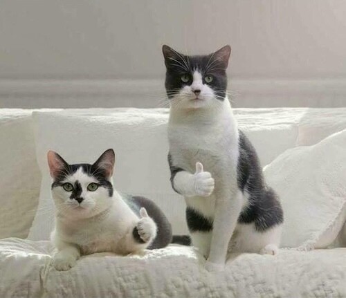 
                    «Холодные рассылки в B2B — бред». Пока ты думаешь, что это не работает, Salesforce, Zoom и другие зарабатывают миллионы            