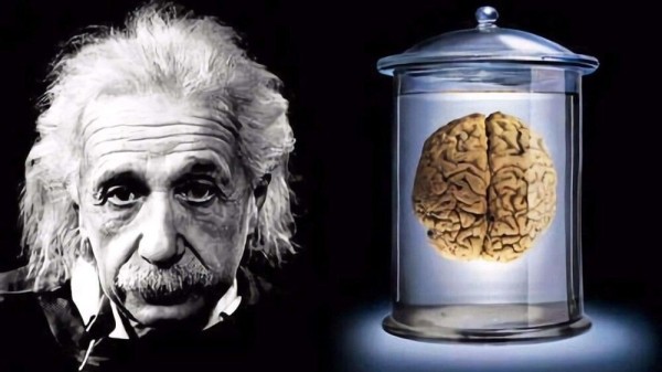 Экономика компаньонов и GPT-любовники: социальные тренды в Китае-2024
Экономика компаньонов и GPT-любовники: социальные тренды в Китае-2024