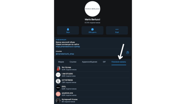 
                    Как не слить бюджет в Telegram. Поиск и анализ каналов для TG Ads и посевов            