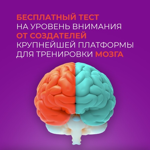 Новые и лучшие: Партнерские программы 2024             
                    Новые и лучшие: Партнерские программы 2024