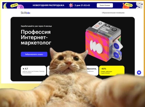 
                    Онлайн-курсы по интернет-маркетингу для новичков в 2024 году            