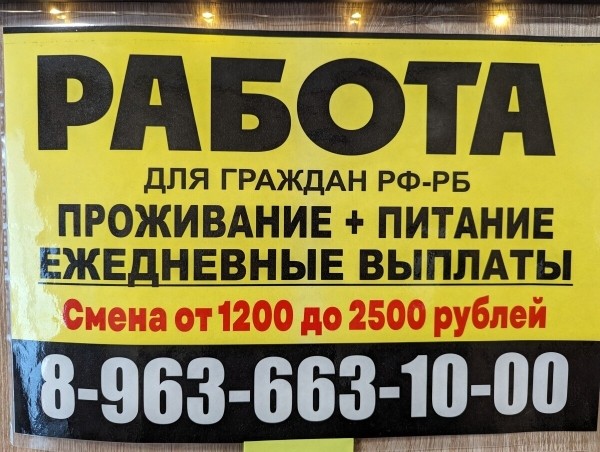 
                    «Это деньги сразу»: владелец крупнейшего аутстаффа Москвы о том, как продавать 1300 рабочих за 4,5 млн ₽ в день            