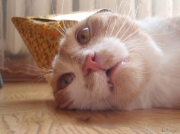 
                    Новогодний корпоратив — простое развлечение или стратегия укрепления командного духа?            