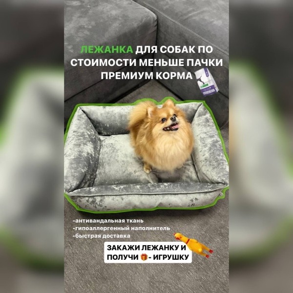 
                    5 техник, которые увеличат конверсию в продажи через диалоги в Instagram  (товарный бизнес)            