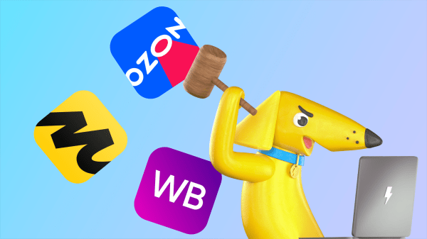 
                    Интернет-магазины умерли? Разобрались, стоит ли делать сайт с товарами в эпоху маркетплейсов            