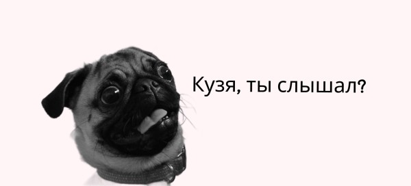 Посевы в Телеграм. Кейс закупа в Телеграм для эксперта по автоворонкам             
                    Посевы в Телеграм. Кейс закупа в Телеграм для эксперта по автоворонкам
