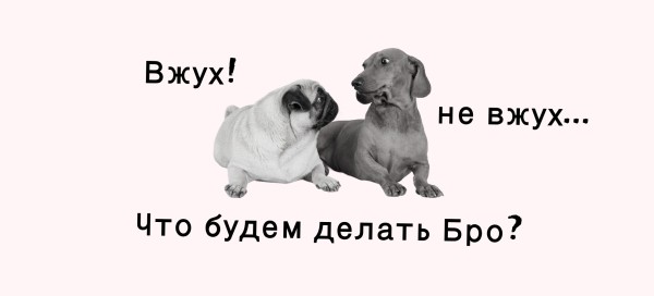 Посевы в Телеграм. Кейс закупа в Телеграм для эксперта по автоворонкам             
                    Посевы в Телеграм. Кейс закупа в Телеграм для эксперта по автоворонкам