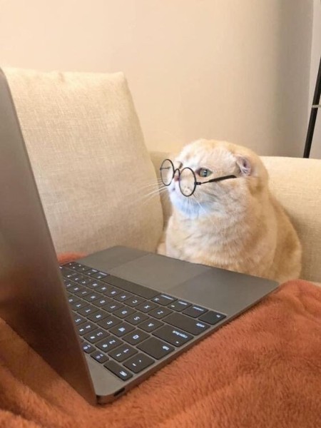 
                    Как я залил статью ни о чем и что-то получил            