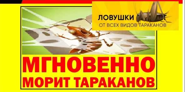 Ложный маркетинг: купить нельзя попасться
Ложный маркетинг: купить нельзя попасться