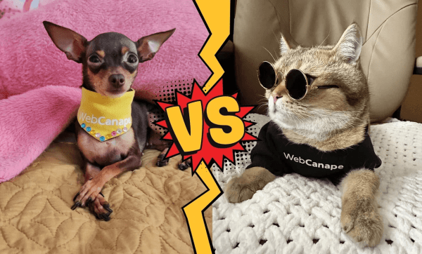 
                    Люди проведут 500 млн лет, используя социальные сети в 2024 году!            