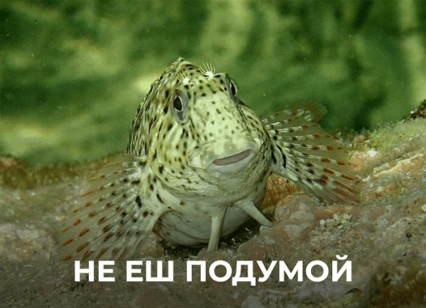 
                    Сайт портовый, кейс фартовый: как сделать современный сайт для торгового порта            