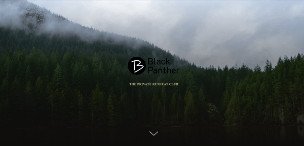 
                    Кейс: сайт по мухоморным ретритам в Крыму, обеспечивший запись на 3 месяца вперед без вложений в рекламу            