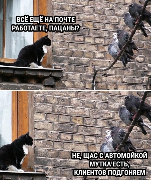 
                    Анализ каналов на закупку рекламы в Телеграм (Посевы)            