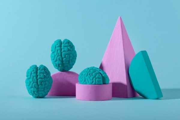 Применение психологии цвета и формы в дизайне упаковки для увеличения конверсии             
                    Применение психологии цвета и формы в дизайне упаковки для увеличения конверсии