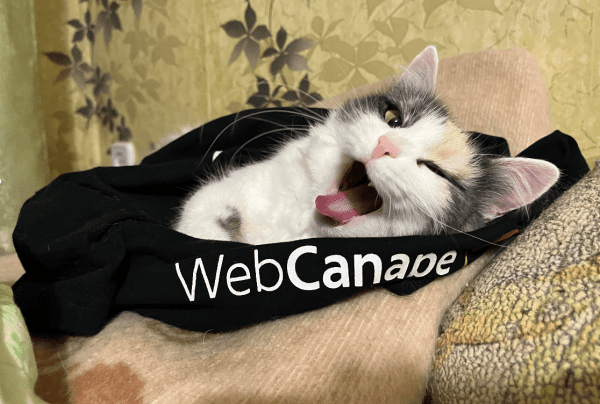 
                    Четвероногие амбассадоры бренда: как мы сделали корпоративный мерч для животных            