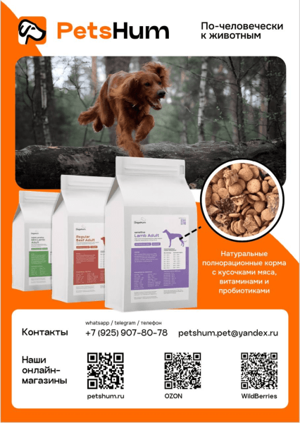 
                    Топ фишек ивент-маркетинга, чтобы ваш продукт захотели все            