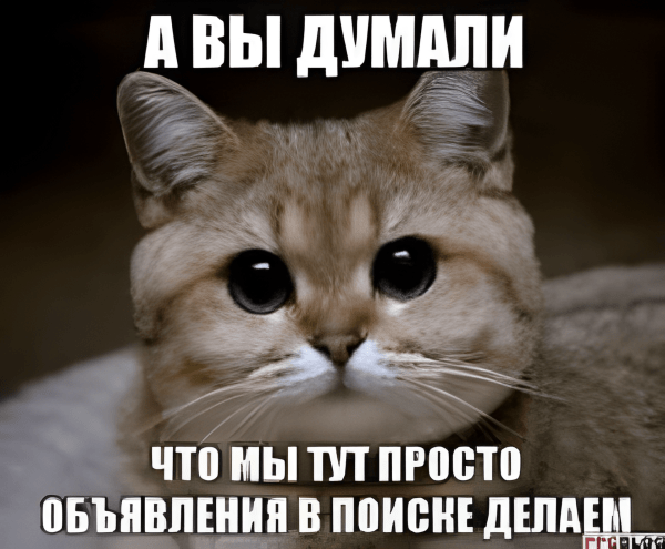 Как я продвигала сложную нишу аутизма через рекламу (посевы) в Telegram каналах
Как я продвигала сложную нишу аутизма через рекламу (посевы) в Telegram каналах