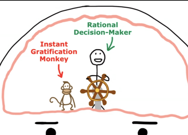 
                    🔥 Что внутри мозга прокрастинатора            