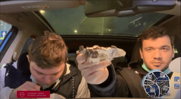 
                    Что можно купить в прямом эфире?            