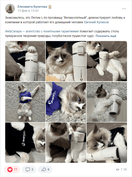 
                    Четвероногие амбассадоры бренда: как мы сделали корпоративный мерч для животных            