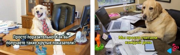 Как встроить таргет в сложные воронки на примере МФО
Как встроить таргет в сложные воронки на примере МФО