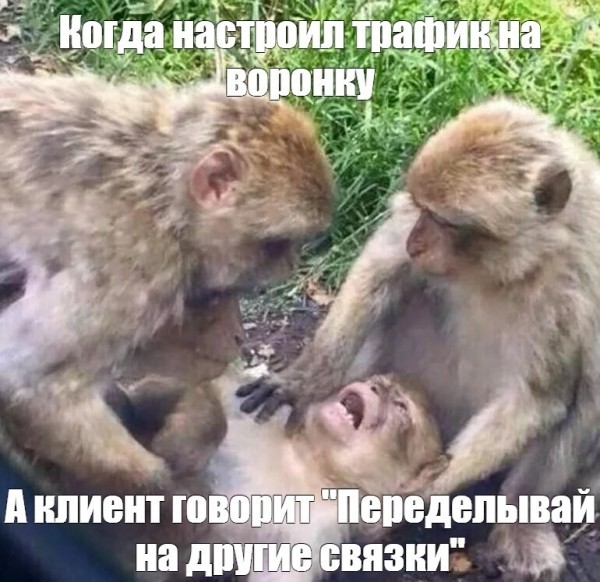 
                    Как мы запускаем магазин одежды в ВКонтакте и на Wildberries с нуля            