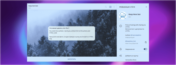 Топ-25 полезных ботов в Телеграм, от планеров до поисковиков
Топ-25 полезных ботов в Телеграм, от планеров до поисковиков